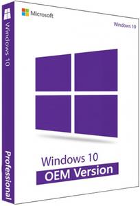 Windows 10 OEM 20H2 10.0.19042.685 AIO 8in2 (x86/x64)  Multilanguage Preactivated December 2020