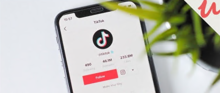 TikTok Marketing - Grow Account & Expand Business