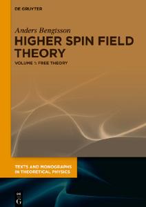 Higher Spin Gauge Theory Conceptual Rethinking and Abstract Approaches