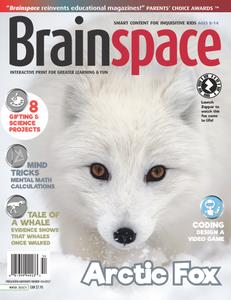 Brainspace - Winter 2020-2021