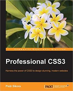 Professional CSS3