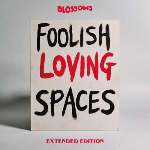 Blossoms - Foolish Loving Spaces (Extended Edition) (2020)