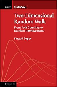 Two-Dimensional Random Walk From Path Counting to Random Interlacements