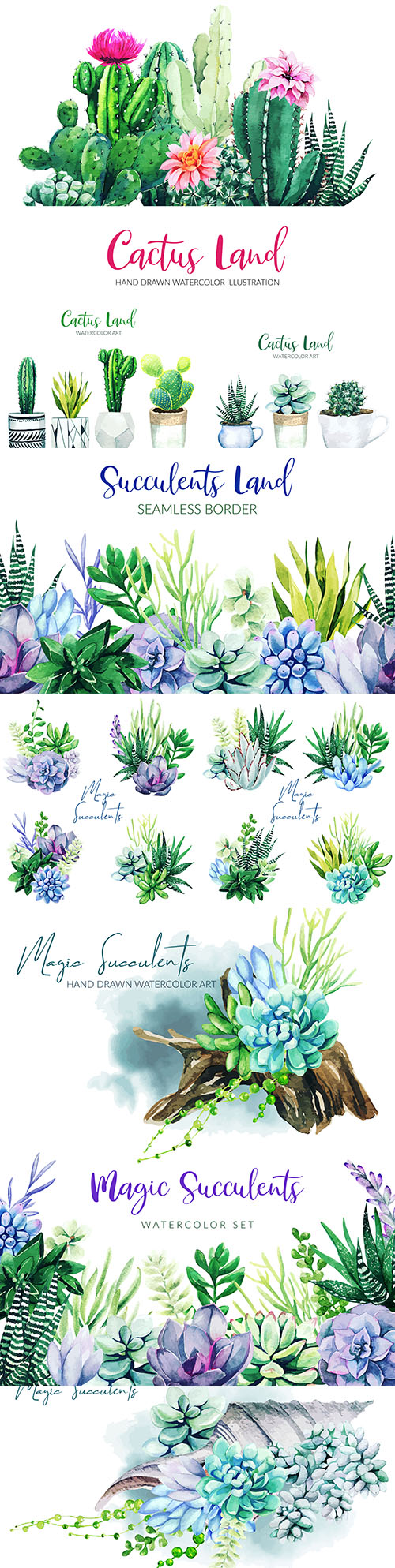 Cactus and tropical flowers design watercolor illustrations
