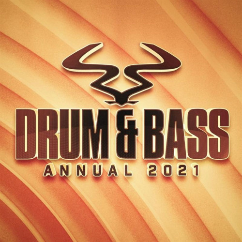 Download VA - RAM Drum & Bass Annual 2021 mp3