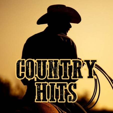 Various Artists - Country Hits (2020) Mp3