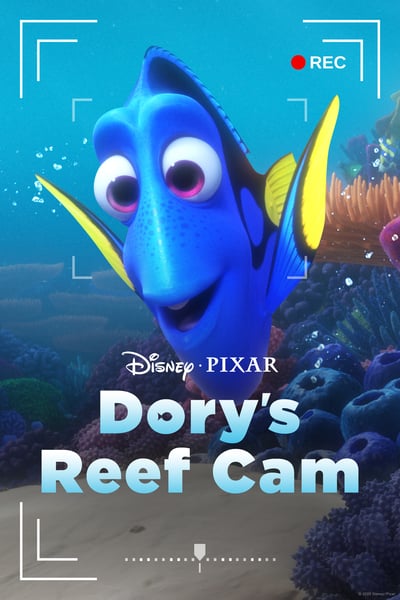 Dorys Reef Cam 2020 1080p DSNP WEBRip DDP5 1 x264-ROCCaT