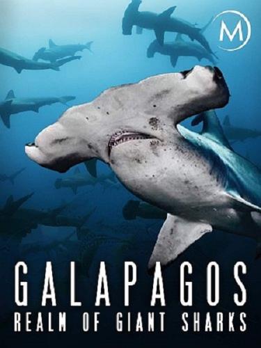 Галапагос. Царство гигантских акул / Galapagos: Realm of Giant Sharks (2012) HDTV 1080i