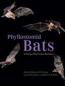 Phyllostomid Bats A Unique Mammalian Radiation