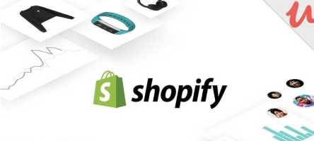 The Beginner Shopify Aliexpress Dropship course