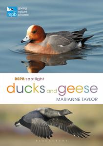 RSPB Spotlight Ducks and Geese (RSPB)