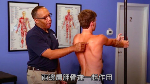Rehabilitation of the Shoulder and Upper Extremity
