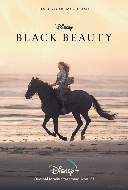 Czarna Piękność / Black Beauty (2020) PLDUB.WEB-DL.XviD-GR4PE / Dubbing PL