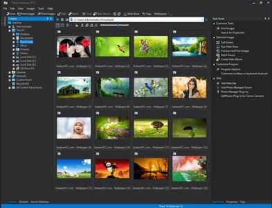 Proxima Photo Manager Pro 4.0 Release 6 Multilingual