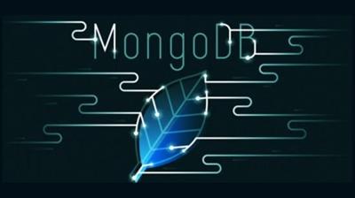 Udemy - Mongo GoLang Go Python PHP Node React Management Interface