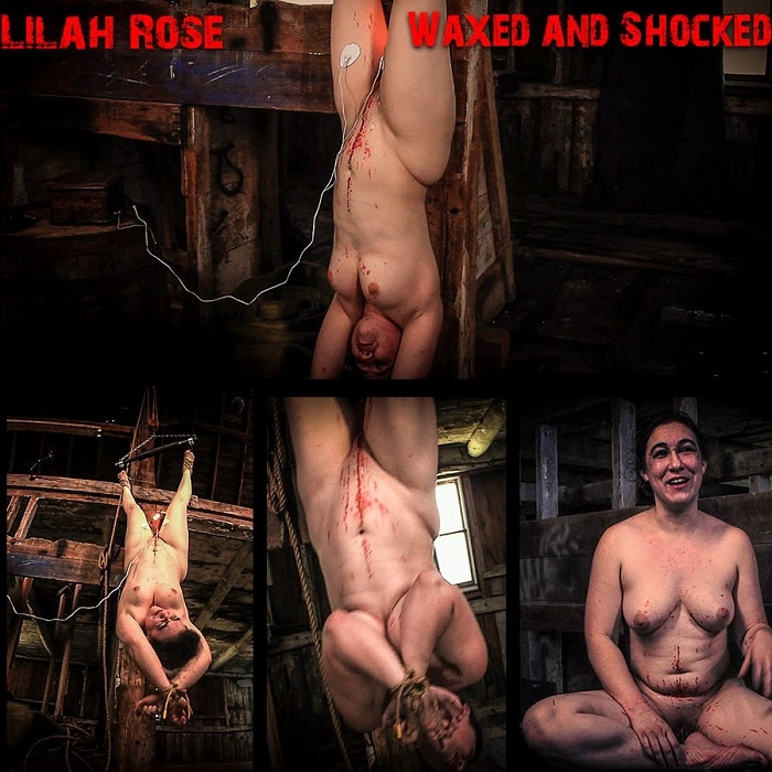 Lilah Rose - Lilah Rose Waxed and Shocked