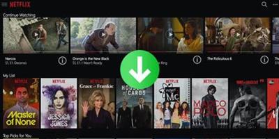 TunePat Netflix Video Downloader 1.4.0 Multilingual
