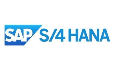 Udemy - SAP S4 HANA  Master Data Simplifications