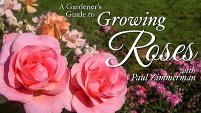 Craftsy - A Gardener's Guide to Growing Roses