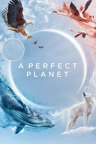 A Perfect Planet S01E01 Volcano 720p HDTV x264-DARKFLiX