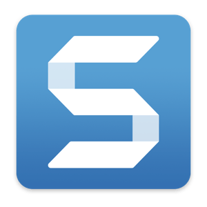 TechSmith Snagit 2021.1.0 (98022) Multilingual macOS