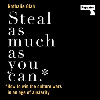 Steal as Much as You Can: How to Win the Culture Wars in an Age of Austerity [Audiobook]