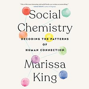 Social Chemistry: Decoding the Patterns of Human Connection [Audiobook]