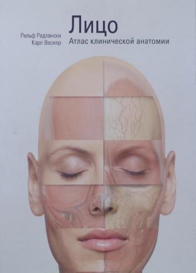 Ральф Радлански - Лицо. Атлас клинической анатомии