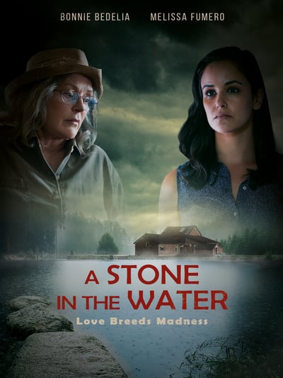 A Stone in the Water 2019 720p WEBRip x264-WOW