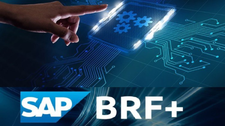 SAP BRF+ for ABAP ( Business Rule Framework )