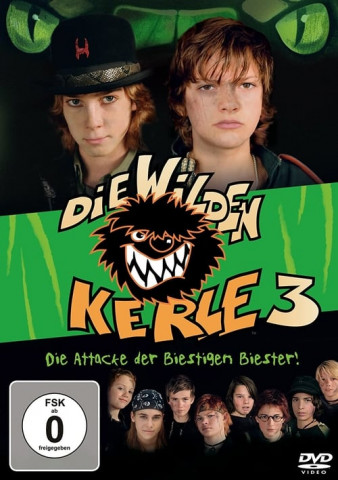 Die wilden Kerle 3 2006 German 1080P Web H264-Wayne