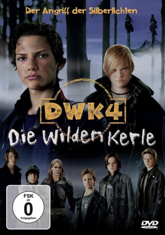 Die wilden Kerle 4 2007 German 1080P Web H264-Wayne