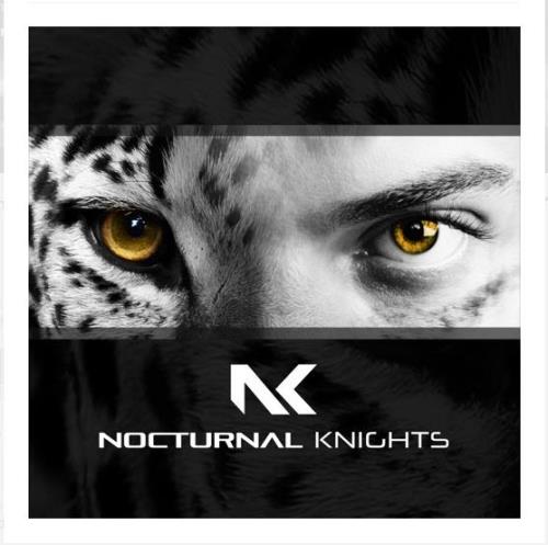Daniel Skyver & Mercurial Virus - Nocturnal Knights 072 (2021-01-12)