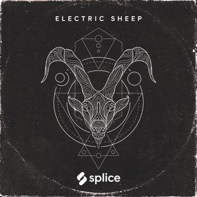 Splice Originals Electric Sheep WAV