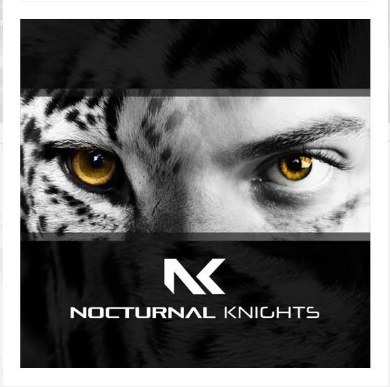 Daniel Skyver - Nocturnal Knights 087 (2021-04-27)