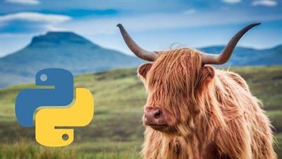 Udemy - Data File Access using Python