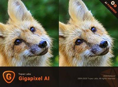 Topaz Gigapixel AI 5.4.2 (x64)