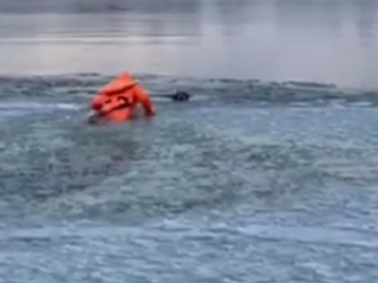 Ползком по тонкому льду: сотрудники ГСЧС геройски выручили собаку из ледяной ловушки