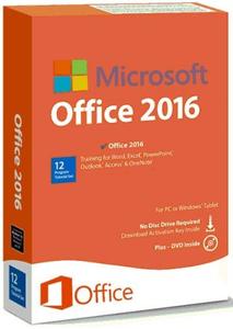 Microsoft Office 2016 Pro Plus VL 16.0.5110.1001 (x86/x64) January 2021