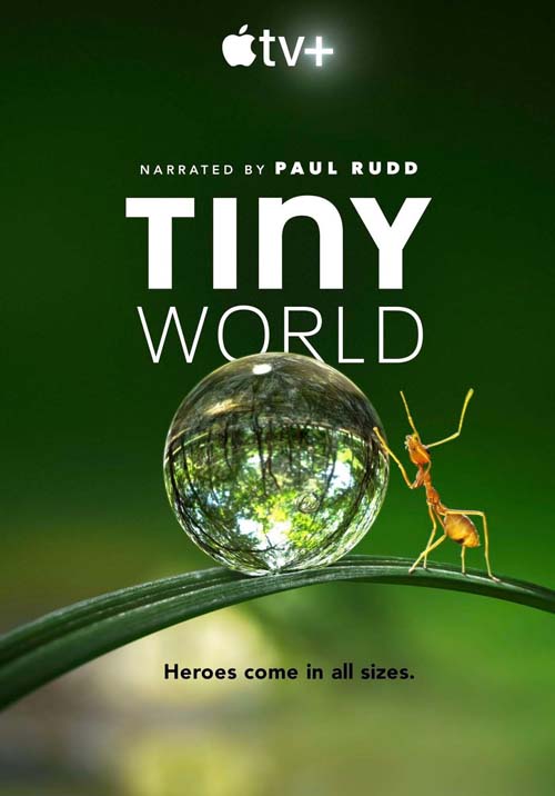Mały świat /  Tiny World (2020) [Sezon 1] 2160p.ATVP.WEB-DL.x265.10bit.HDR.DDP5.1.Atmos-KOGi / Napisy PL