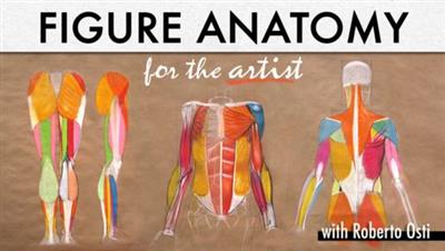 Craftsy - Figure Anatomy for the Artist