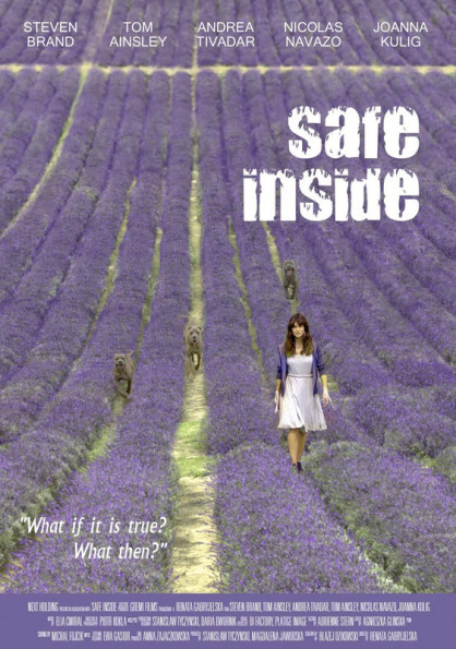 Safe Inside 2020 720p WEBRip x264-WOW