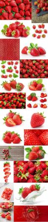 Juicy Strawberry 2   26xUHQ JPEG