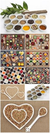 Spices in various dishes stock photo