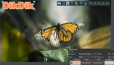 DikDik 4.1.1.0 (x64) Multilingual
