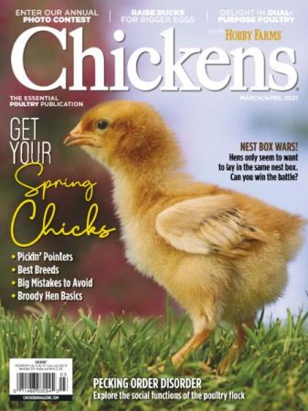 Chickens   March/April 2021