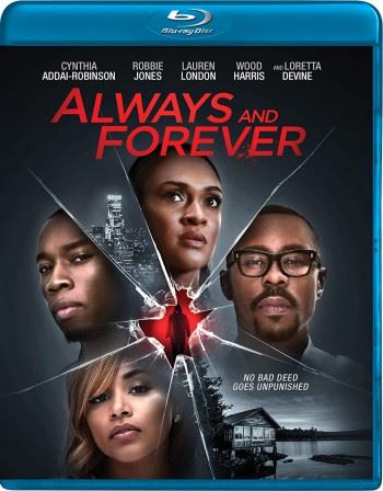 Always and Forever 2020 BRRip XviD AC3-EVO