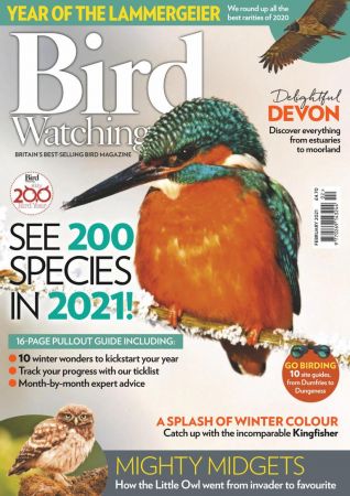 Bird Watching UK   February 2021