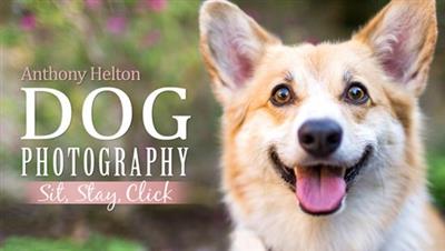 Craftsy - Dog Photography Sit, Stay, Click