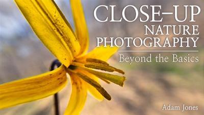 Craftsy - Close-Up Nature Photography Beyond the Basics